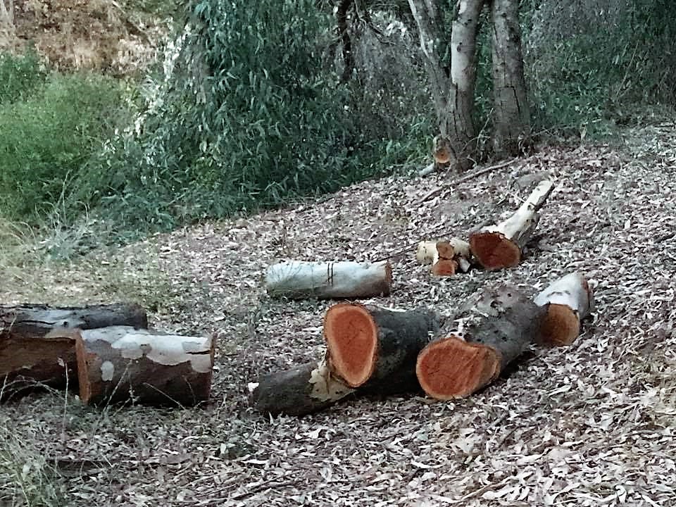 Red logs