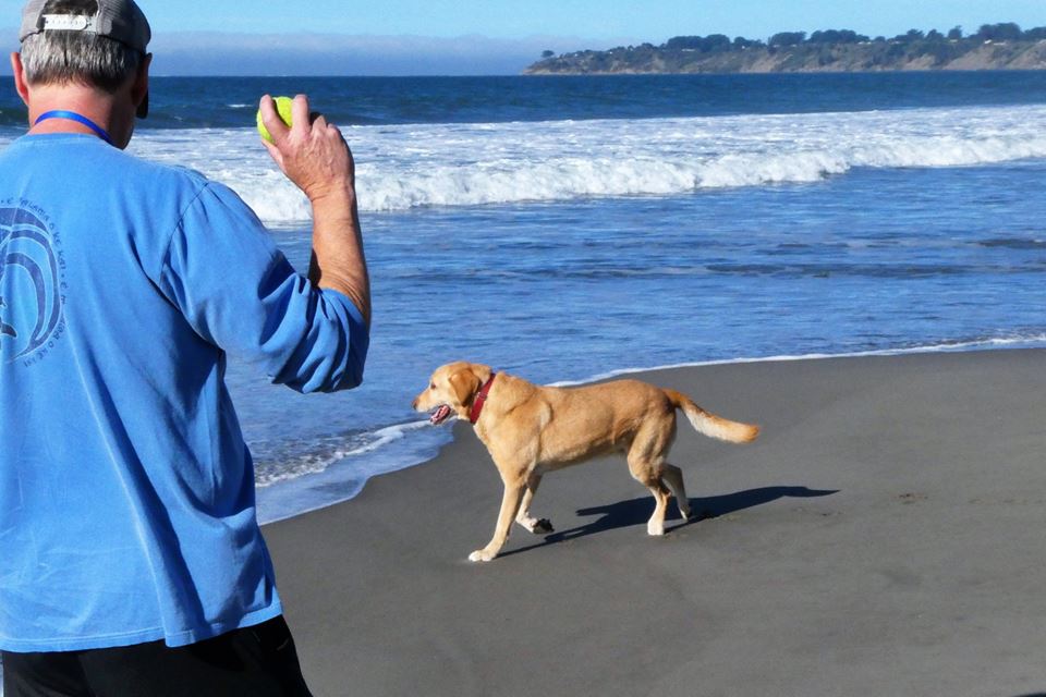 Toby at Stinson Beach 2