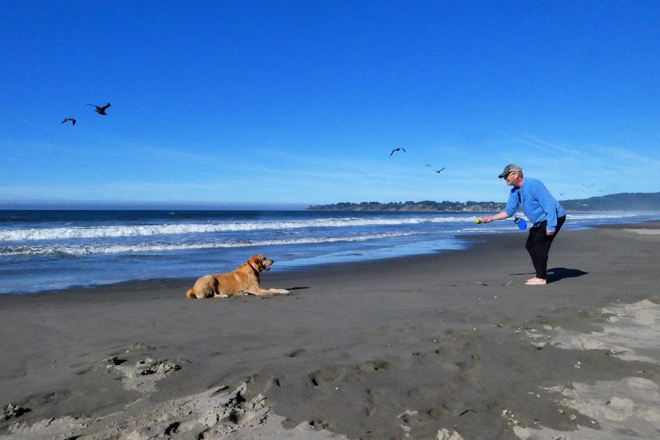 Toby at Stinson Beach 3